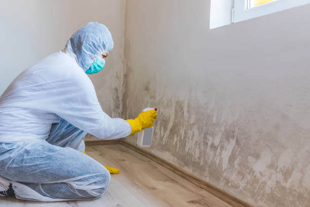 Crawl Space Mold Remediation treatment of floor joists in Bailey